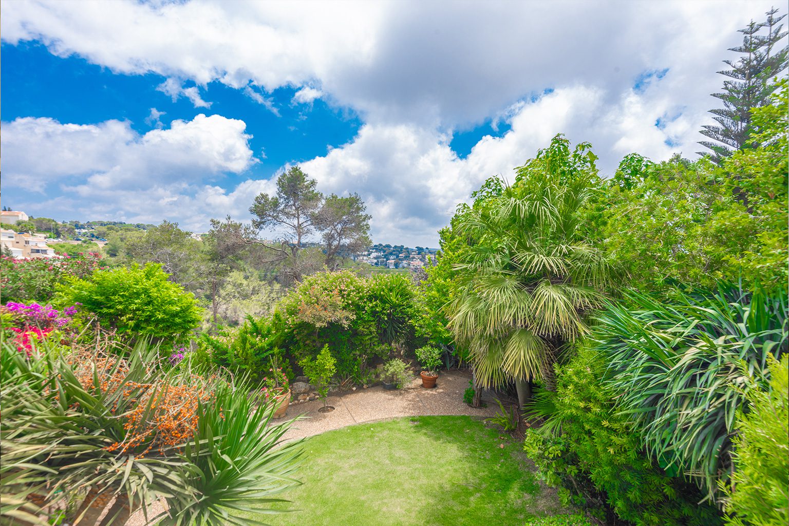 דירות גן בכרמל עם נוף לים
